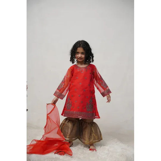 Organza Embroidered 3 Pc | 6010