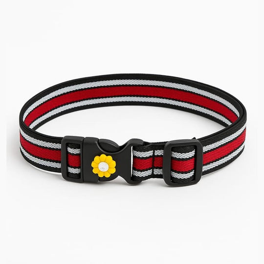 Sun Baby Lastic Belt Card