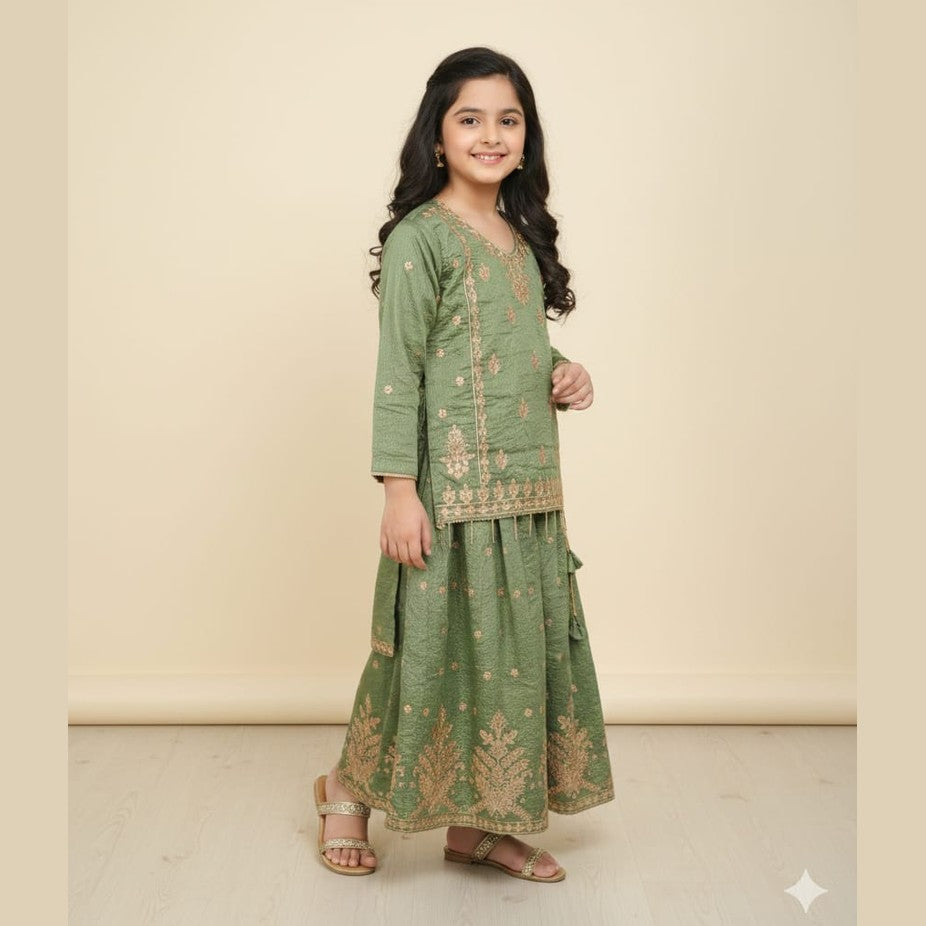 Chiffon Banarasi Sharara