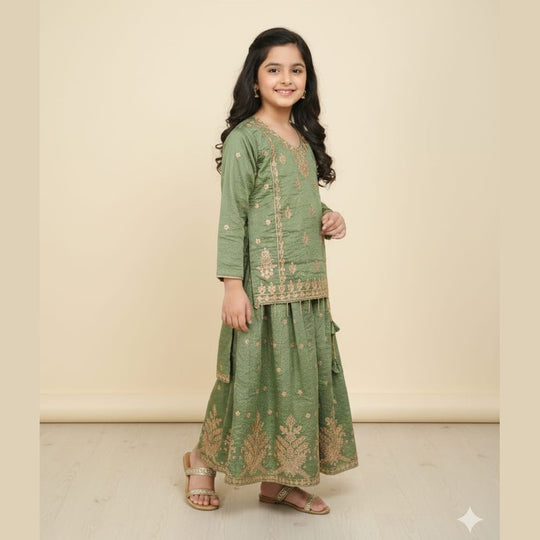 Chiffon Banarasi Sharara