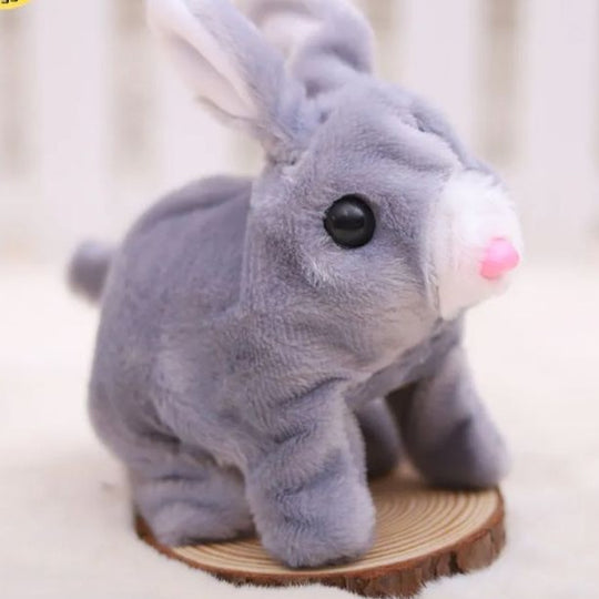 Rabit Stuff
